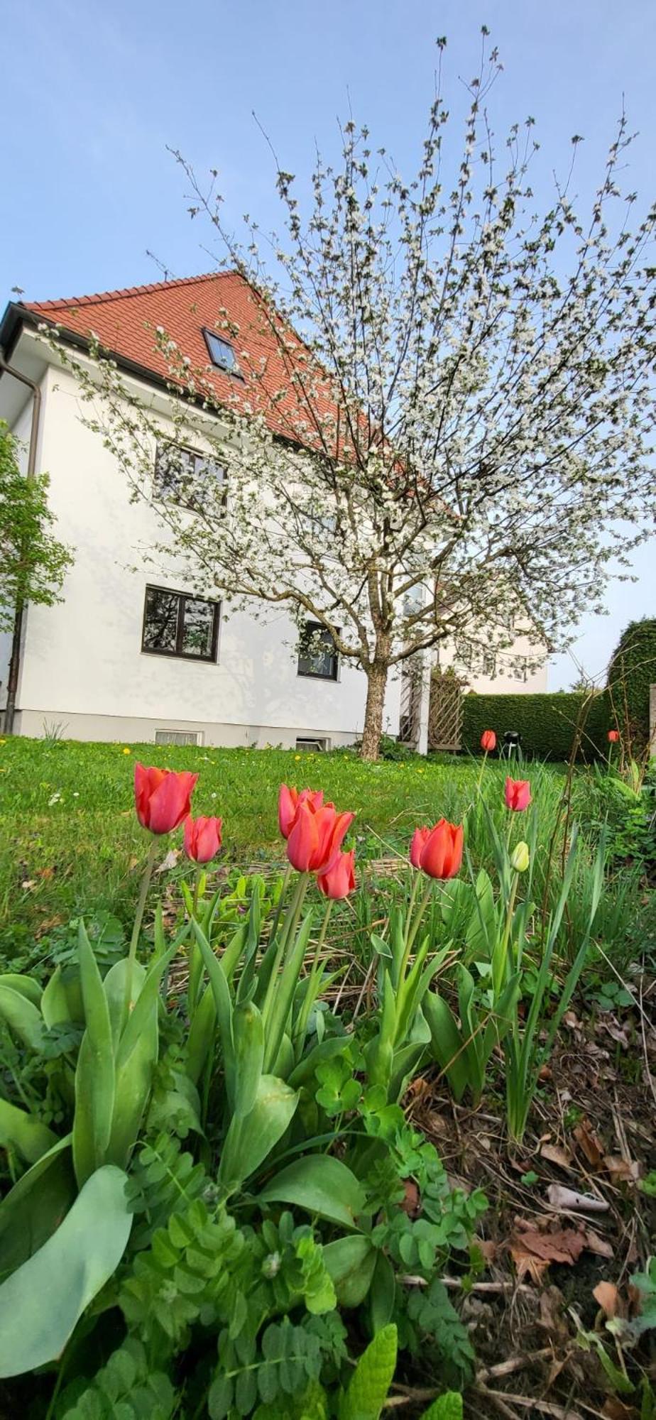 Allgaeu Retreat 巴特沃里斯霍芬 外观 照片